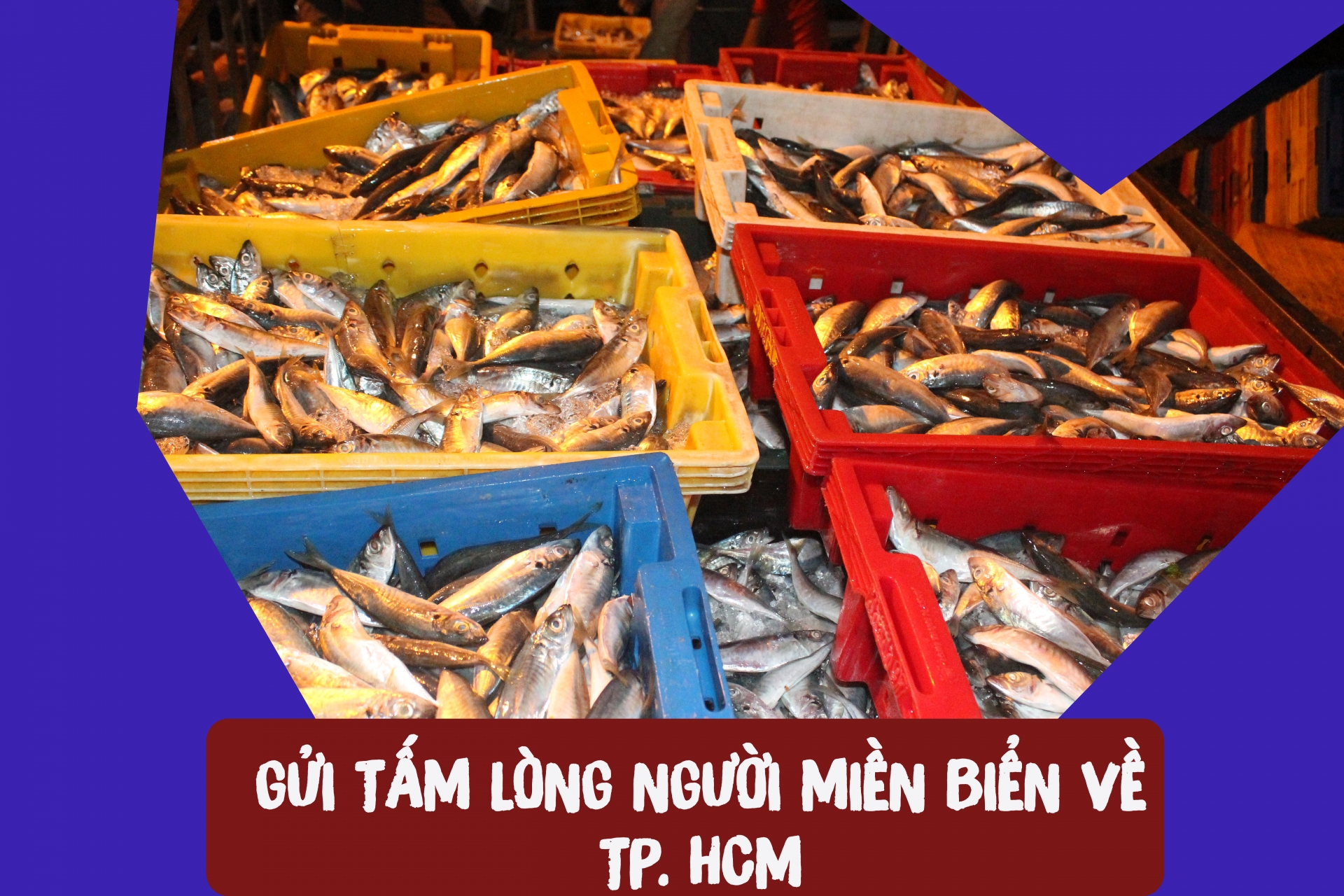 Gửi tấm lòng người miền biển về TP. HCM Gửi tấm lòng người miền biển về TP. HCM