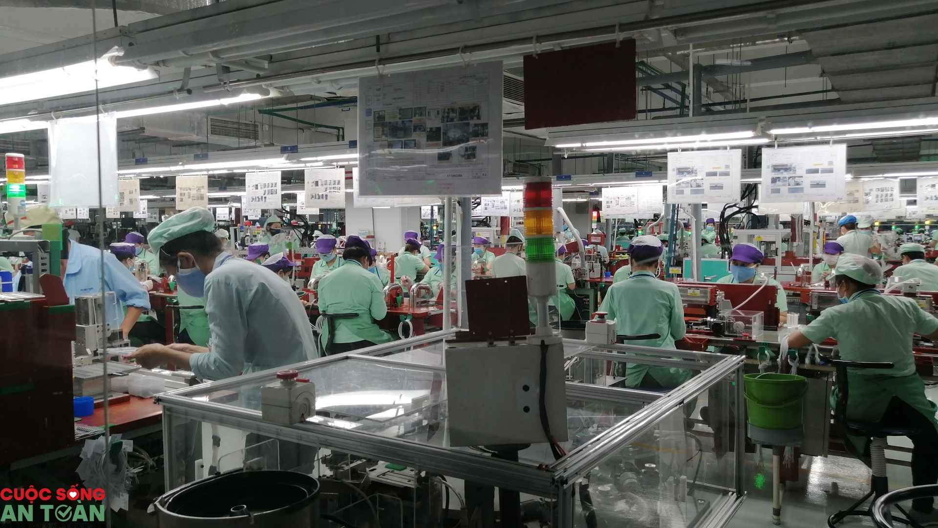 “Chờ qua Tết                  rồi nộp đơn xin việc luôn”