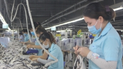 Doanh nghiệp Đà Nẵng sẵn sàng cho việc đón thêm người lao động