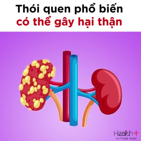 Những thói quen ăn uống làm tăng nguy cơ mắc bệnh thận