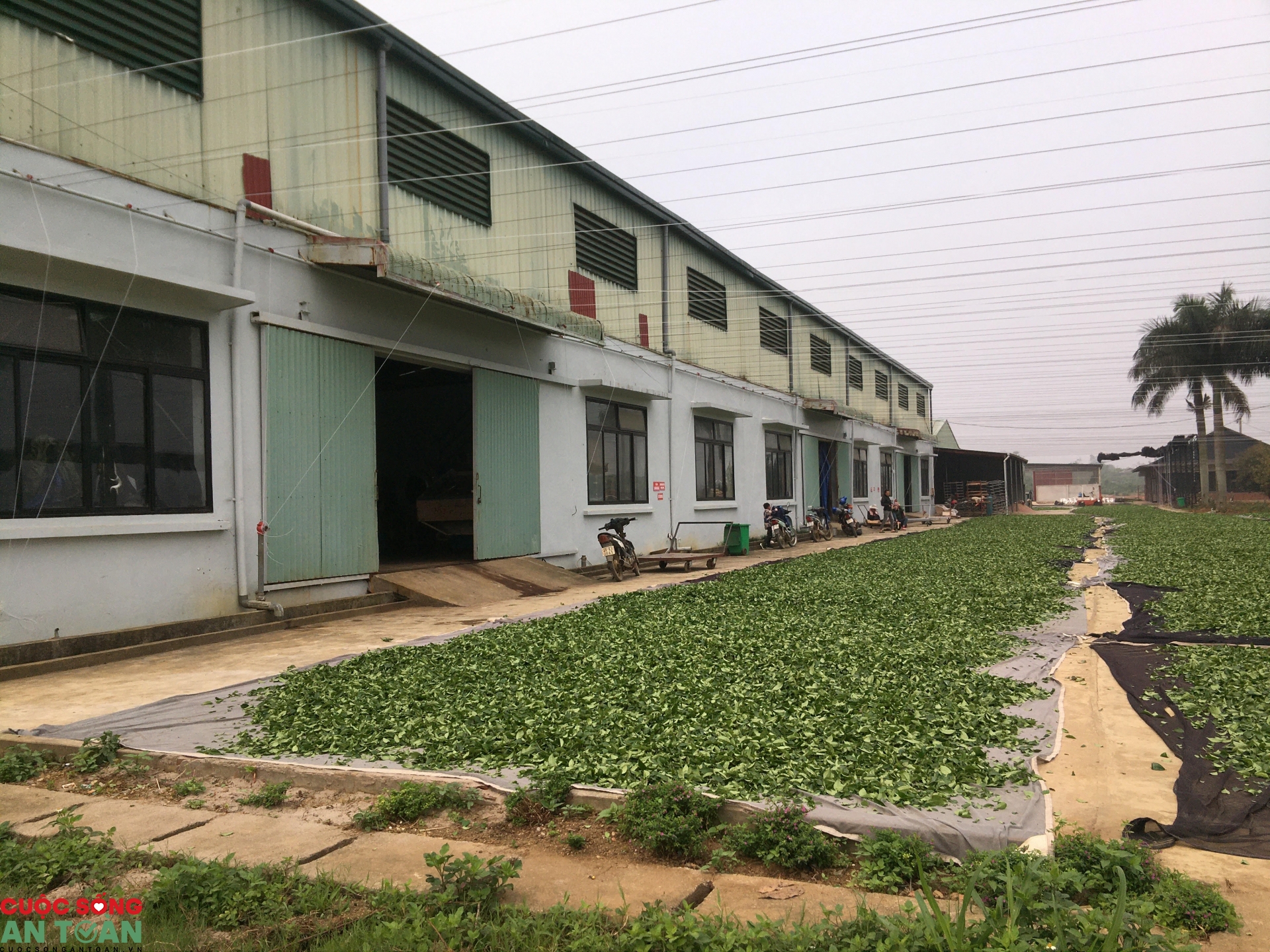 Sai phạm về BHXH ở Sơn La: Đã có kết quả thanh – kiểm tra các đơn vị Sai phạm về BHXH ở Sơn La: Đã có kết quả thanh – kiểm tra các đơn vị