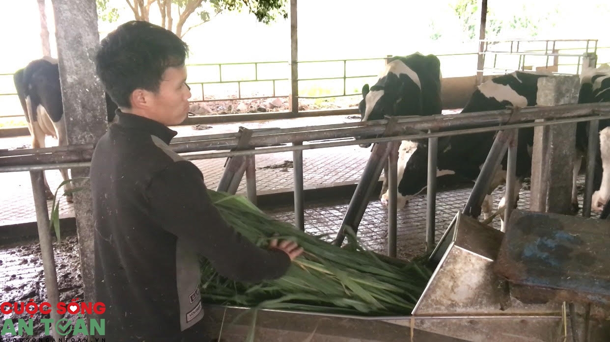 Sai phạm về BHXH ở Sơn La: Đã có kết quả thanh – kiểm tra các đơn vị Sai phạm về BHXH ở Sơn La: Đã có kết quả thanh – kiểm tra các đơn vị