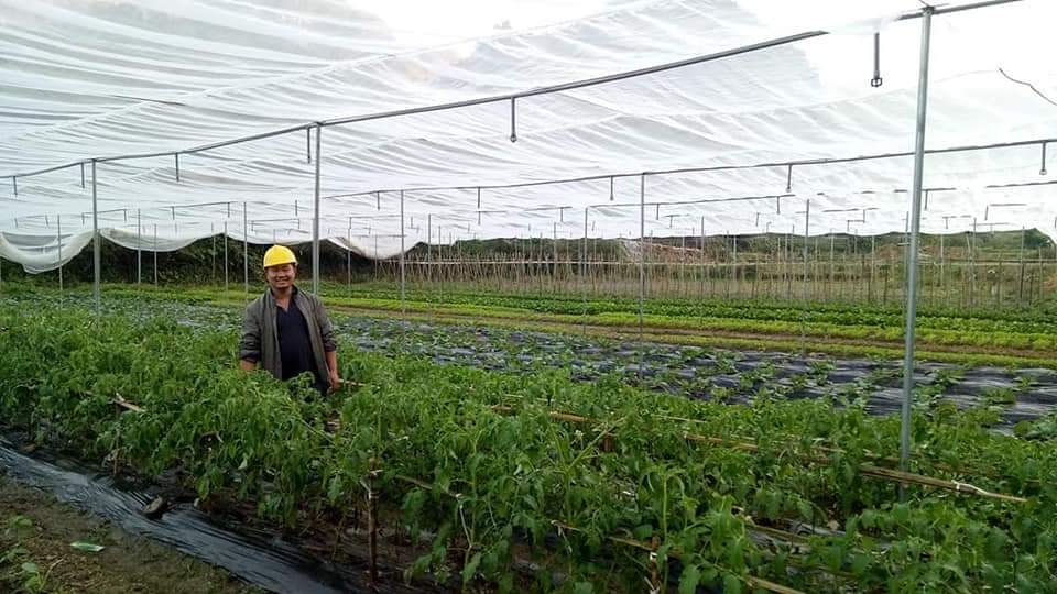 Mô hình sản xuất thực phẩm sạch, an toàn đầu tiên ở huyện nghèo nhất nước mo hinh san xuat thuc pham sach an toan dau tien o huyen ngheo nhat nuoc