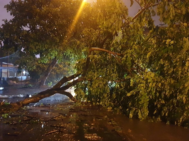 trung tam du bao khi tuong thuy van canh bao rui ro thien tai o nhieu dia phuong