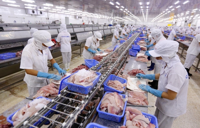 Đánh giá rủi ro an toàn và sức khỏe nghề nghiệp tại cơ sở chế biến thủy sản khu vực miền Trung Đánh giá rủi ro an toàn và sức khỏe nghề nghiệp tại cơ sở chế biến thủy sản