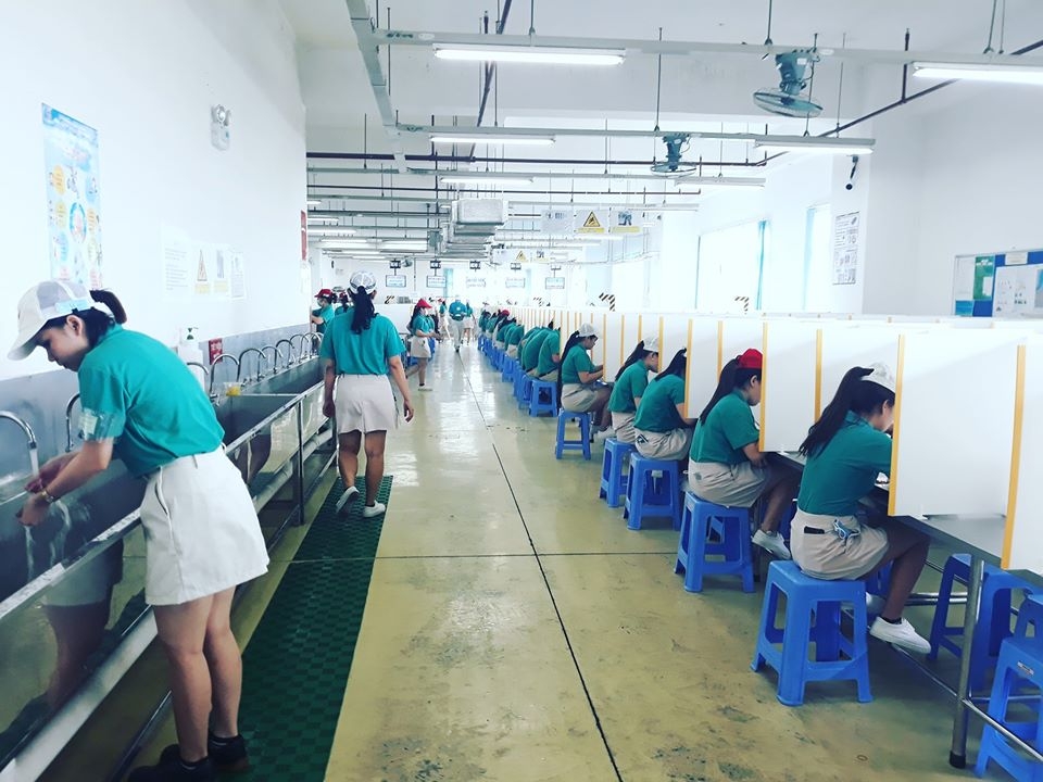 Đề xuất xây dựng mô hình “Không tai nạn lao động, không dịch bệnh” trong các cơ sở sản xuất nhỏ Đề xuất xây dựng mô hình “Không tai nạn lao động, không dịch bệnh” trong sản xuất
