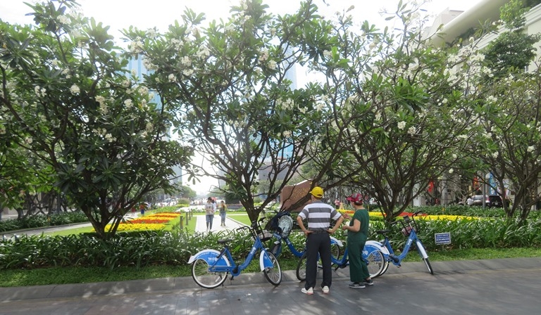 Sài Gòn vơ vẩn đạp xe…