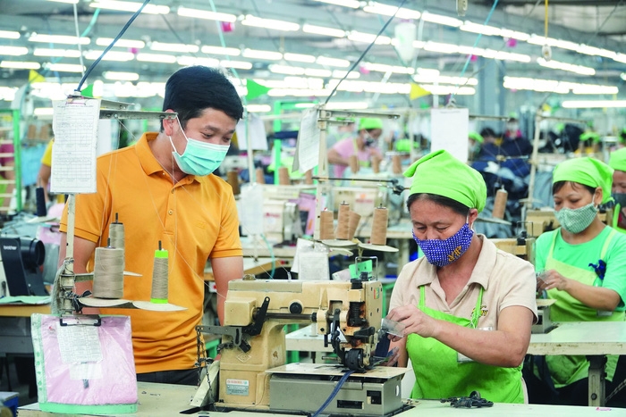 Tác động của đại dịch Covid-19 đến công nhân các doanh nghiệp FDI Đồng bằng sông Hồng