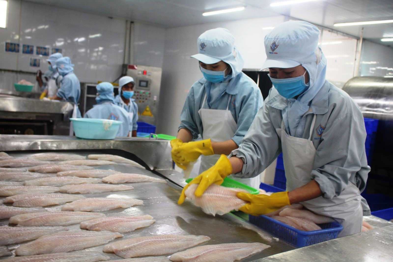 Kỳ 1: Những vấn đề cần quan tâm khi thực hiện các cam kết về lao động, công đoàn Những vấn đề cần quan tâm khi thực hiện các cam kết về lao động, công đoàn