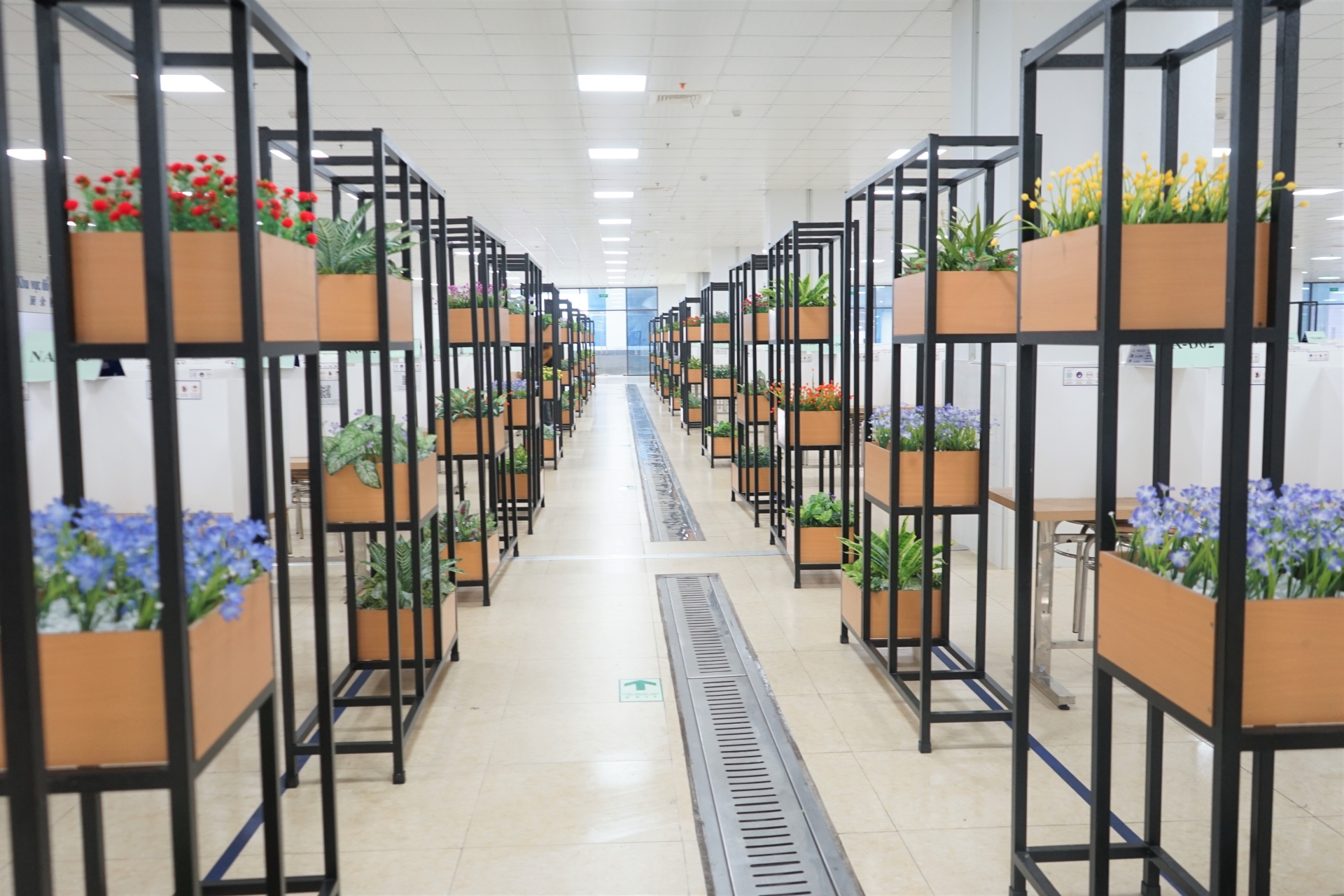 Công ty TNHH Luxshare ICT (Nghệ An): Nơi làm việc, sinh sống được CNLĐ yêu thích