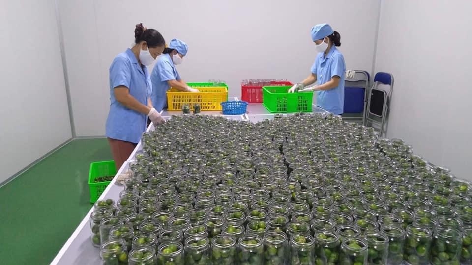Công đoàn ngành Giáo dục Nghệ An ký kết phúc lợi cho đoàn viên