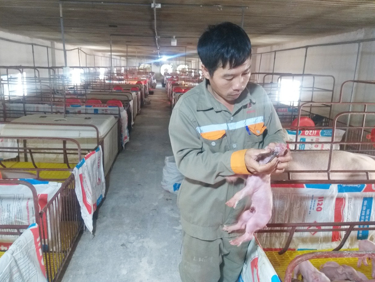 Cảm ơn Công đoàn Hà Tĩnh! Cảm ơn tấm lòng của đoàn viên, người lao động Cảm ơn Công đoàn Hà Tĩnh! Cảm ơn tấm lòng của đoàn viên, người lao động!