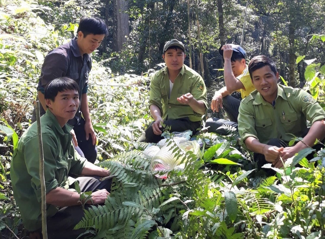 Kiểm lâm Nghệ An: Chủ động triển khai hiệu quả các nhiệm vụ được giao Kiểm lâm Nghệ An: Chủ động triển khai hiệu quả các nhiệm vụ được giao