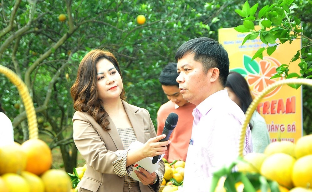 Lần đầu tiên Nghệ An tổ chức Livestream giới thiệu, quảng bá sản phẩm cam Vinh Nghệ An tổ chức livestream giới thiệu, quảng bá sản phẩm cam Vinh