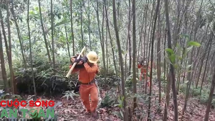 Vượt rừng sửa điện phục vụ đồng bào vùng cao Quảng Nam Vượt rừng sửa điện phục vụ đồng bào vùng cao Quảng Nam