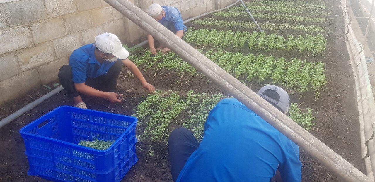 Công đoàn chăm lo cho người lao động khi thực hiện “3 tại chỗ” Công đoàn chăm lo cho người lao động khi thực hiện “3 tại chỗ”