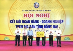 Đồng Nai tích cực hỗ trợ doanh nghiệp vượt khó