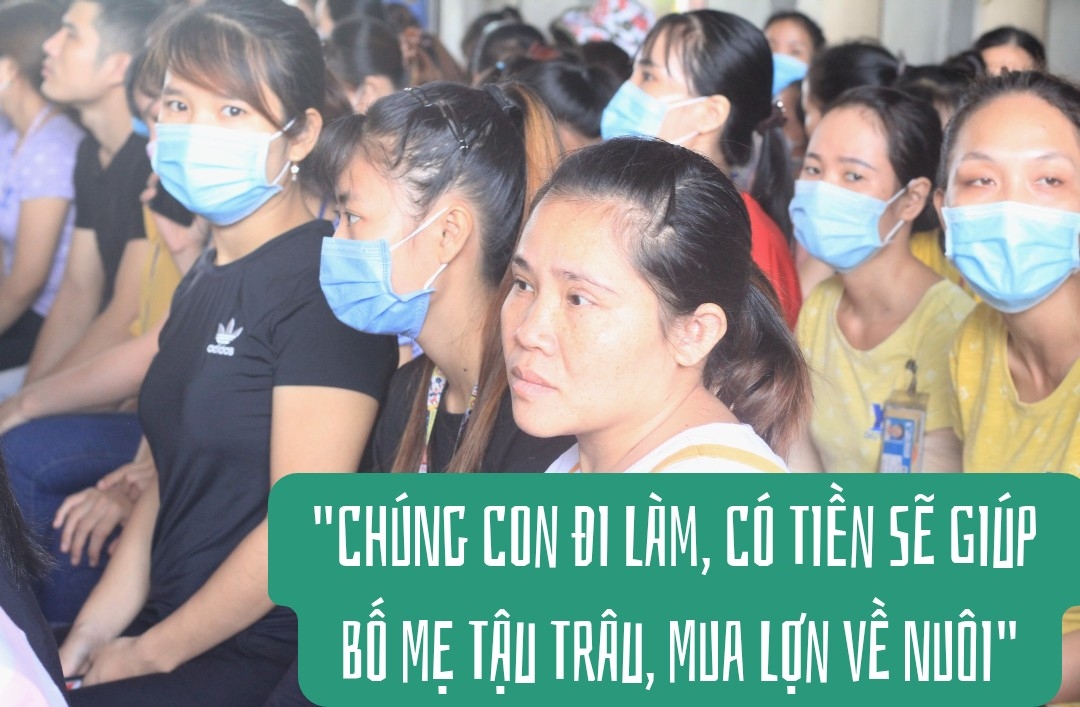 “Chúng con đi làm, có tiền sẽ giúp bố mẹ tậu trâu, mua lợn về nuôi” “Chúng con đi làm, có tiền sẽ giúp bố mẹ tậu trâu, mua lợn về nuôi”