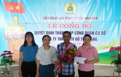 Quảng Trị thành lập Công đoàn cơ sở tại công ty gỗ