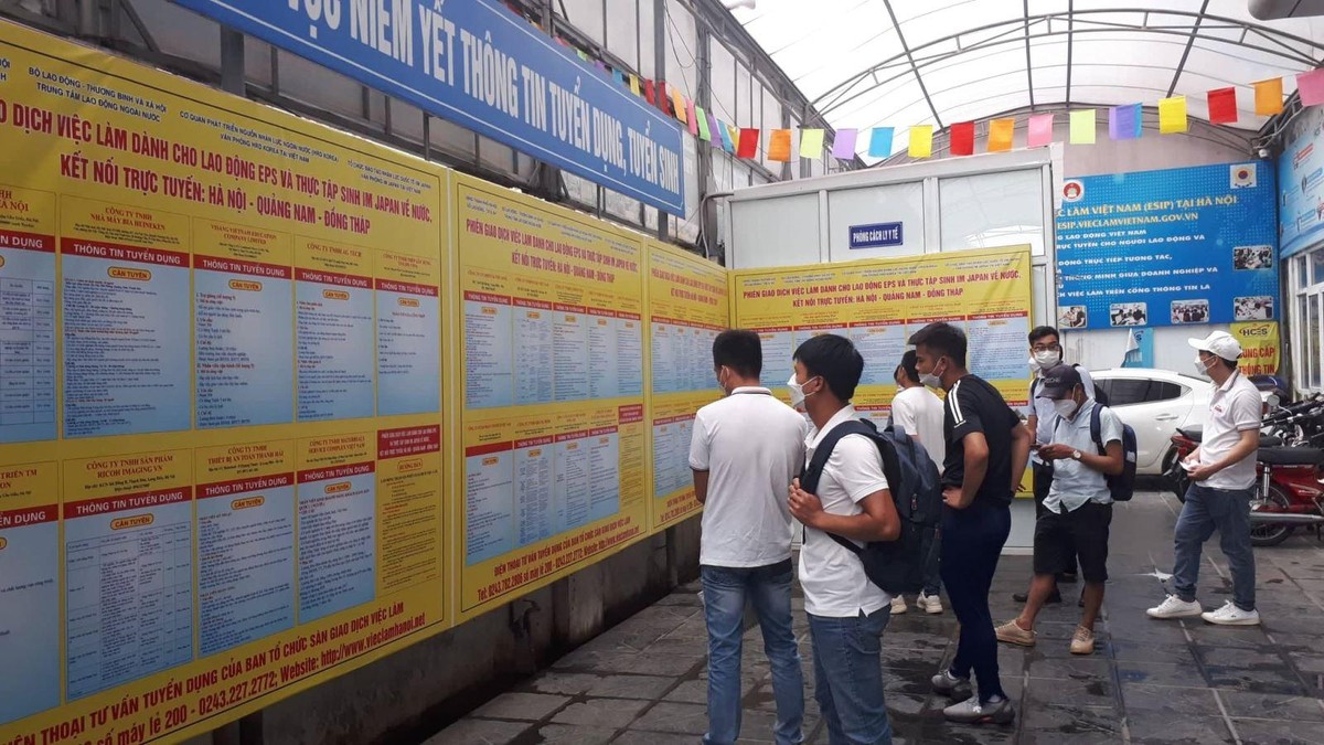 Doanh nghiệp gia tăng tuyển nhiều lao động Lao động tìm kiếm thông tin tuyển dụng của doanh nghiệp.