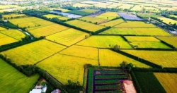 Kinh tế ĐBSCL đối mặt thử thách của 3 "vòng xoáy"