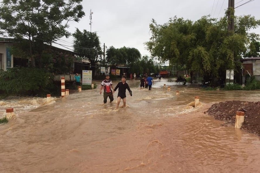 Sau bão số 5, cây trồng chưa ghi nhận nhiều thiệt hại