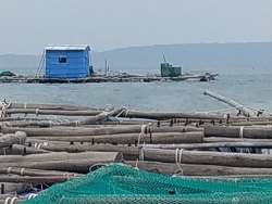 “Thủ phủ” tôm hùm chuẩn bị ứng phó trước bão số 6