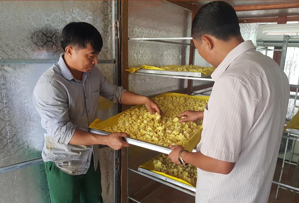 Phát huy hiệu quả mô hình sản xuất tinh bột Nghệ của người H’Mông