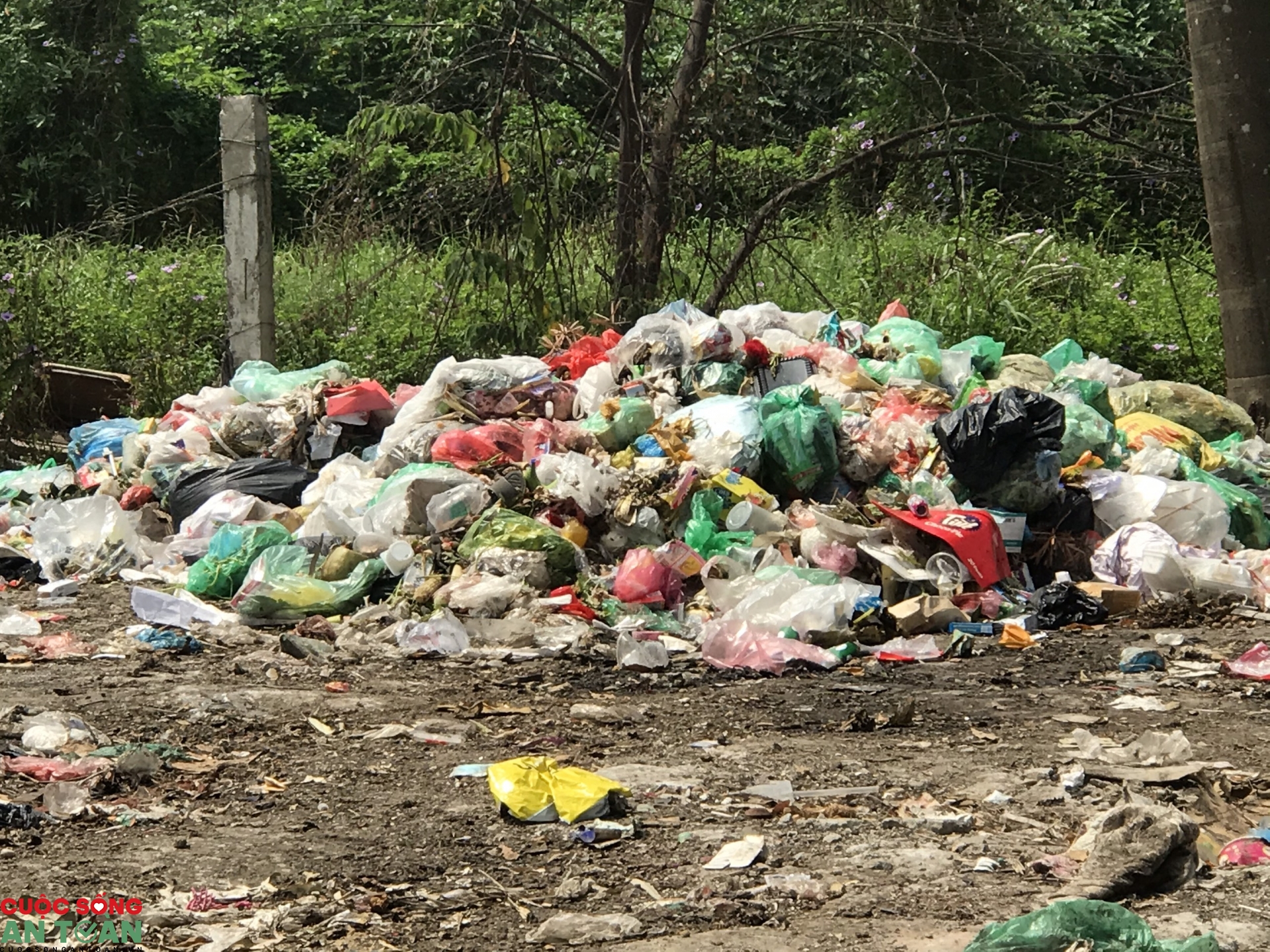 Rác thải "bủa vây" hành hạ công nhân KCN Bắc Thăng Long rac thai bua vay hanh ha cong nhan kcn bac thang long