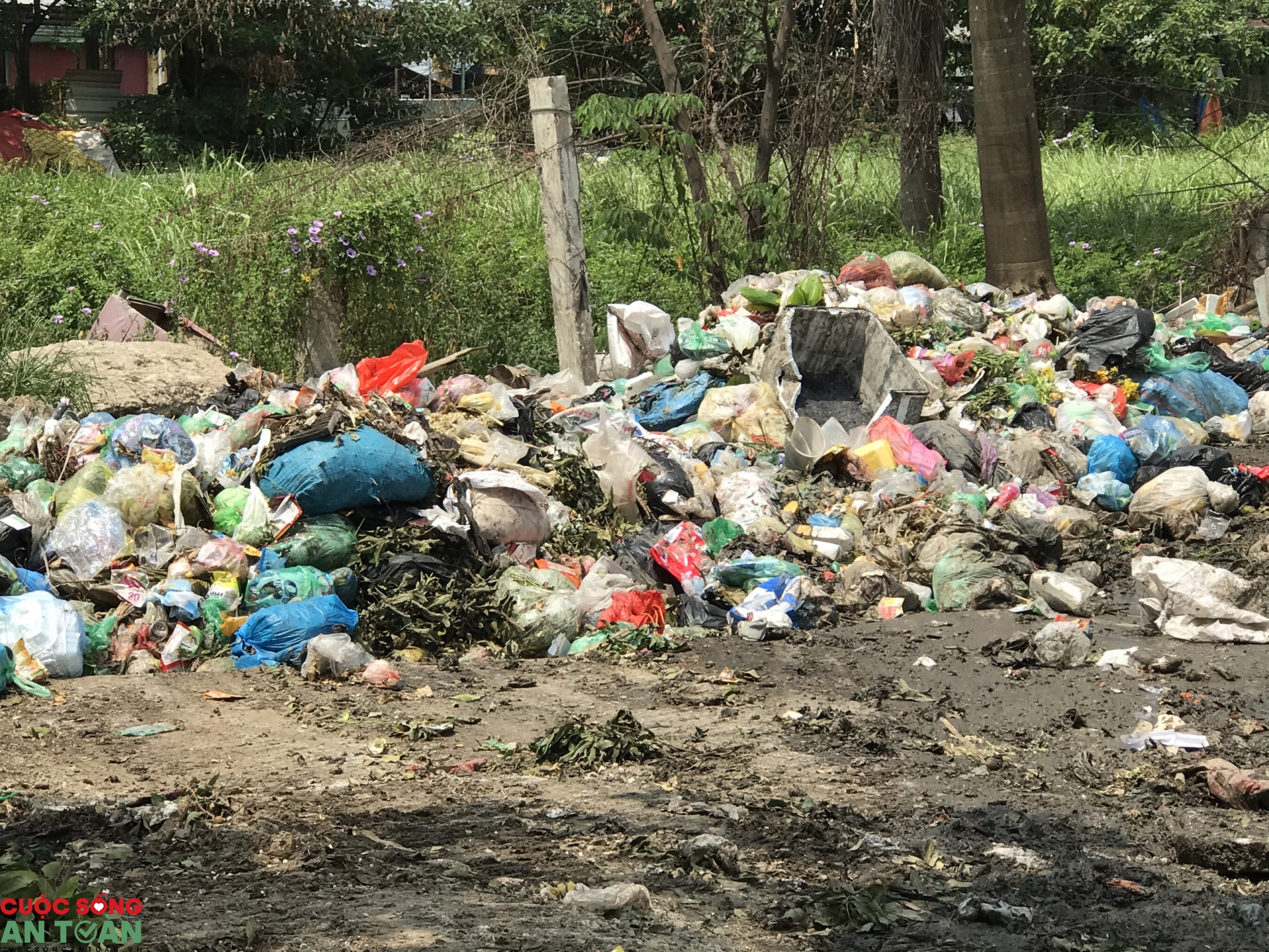 Rác thải "bủa vây" hành hạ công nhân KCN Bắc Thăng Long rac thai bua vay hanh ha cong nhan kcn bac thang long