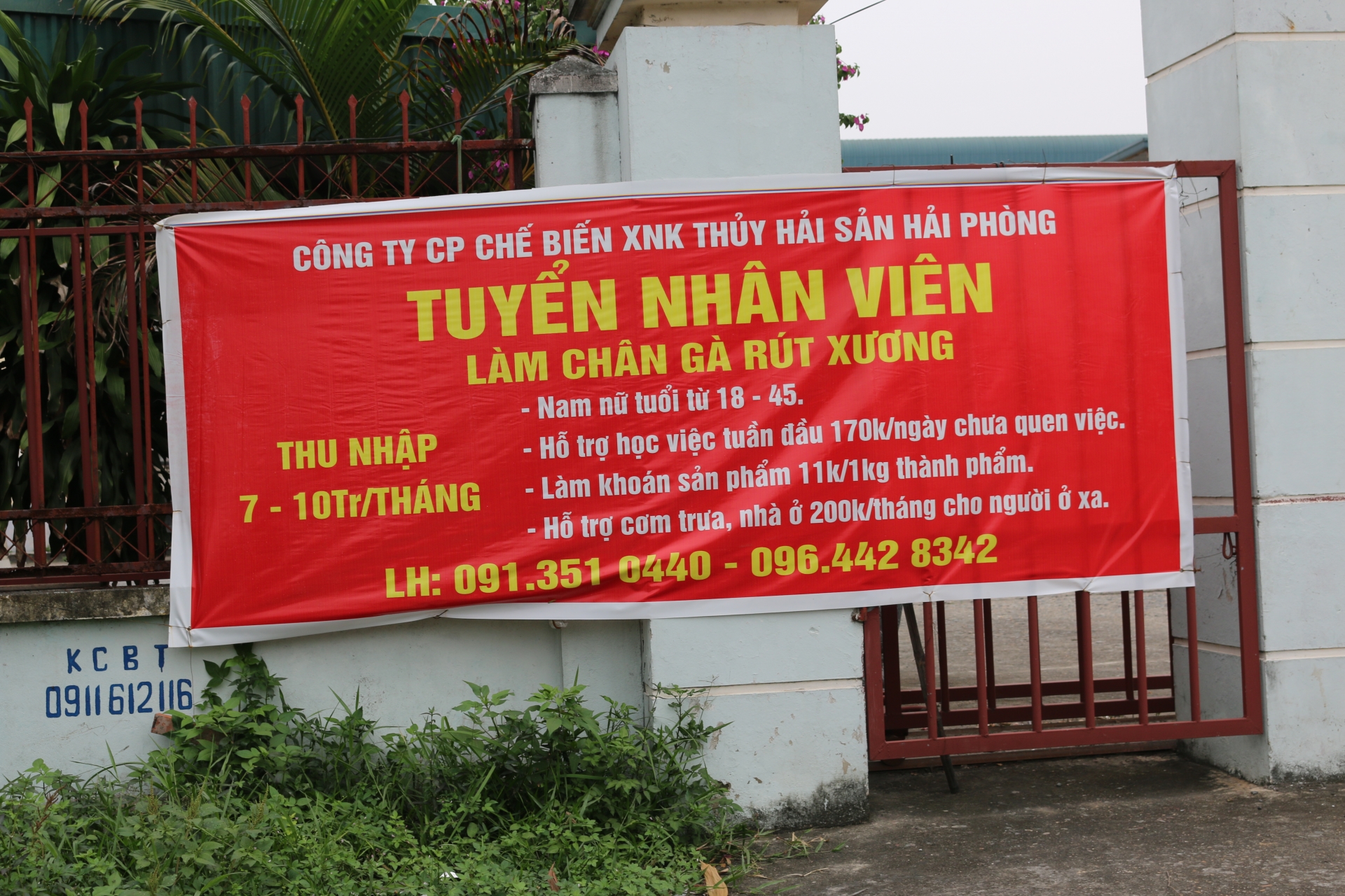 Gần Tết, người lao động vẫn “chật vật” đi tìm việc làm Gần Tết, người lao động vẫn “chật vật” đi tìm việc làm