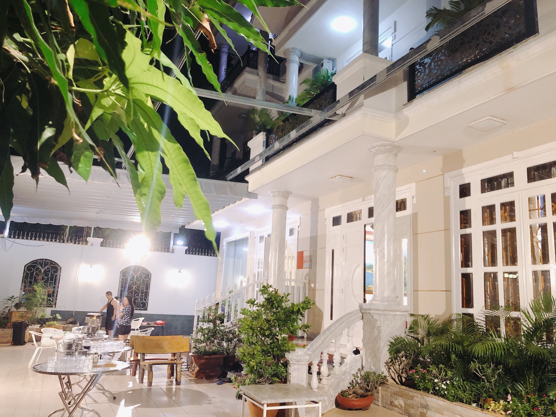 Vi vu đó đây mà không sợ lây Covid-19! Vi vu đó đây mà không sợ lây Covid 19!