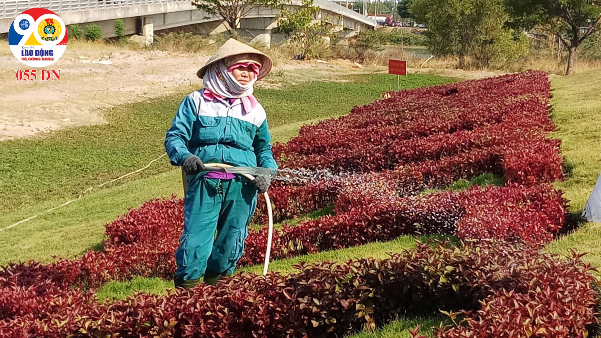Cảm thông với những bà mẹ F1 chăm con F0