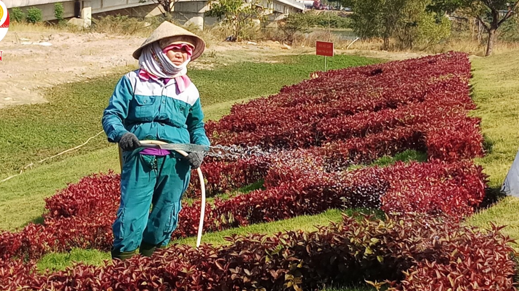 Cảm thông với những bà mẹ F1 chăm con F0