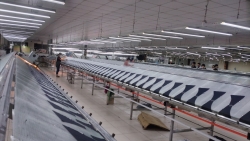 Không muốn thêm giờ làm nữa vì mỗi ngày đều tăng ca 1 tiếng