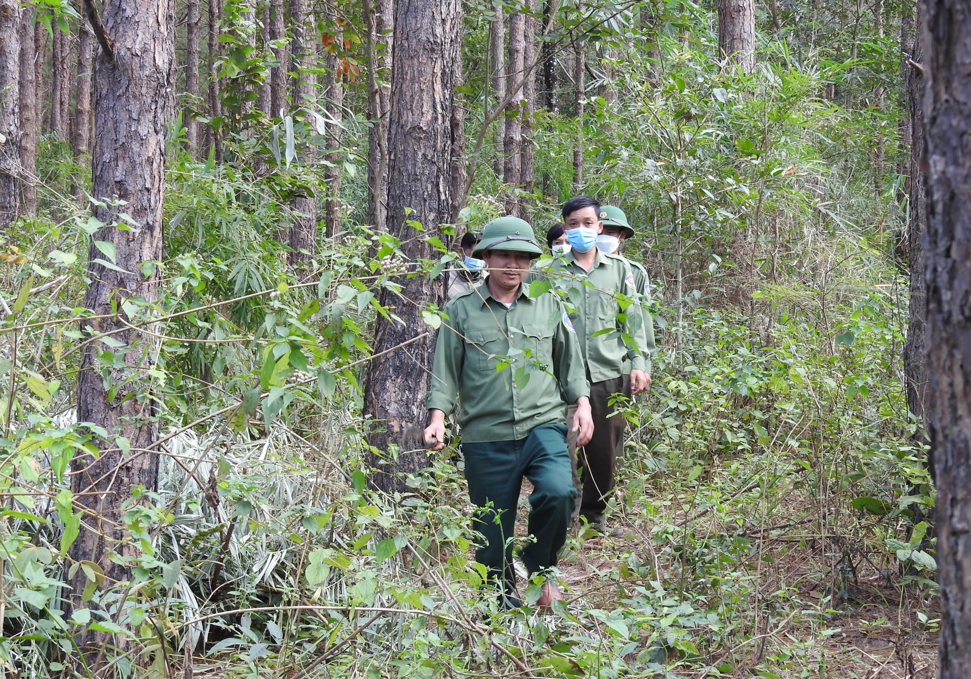Gia Lai: 
