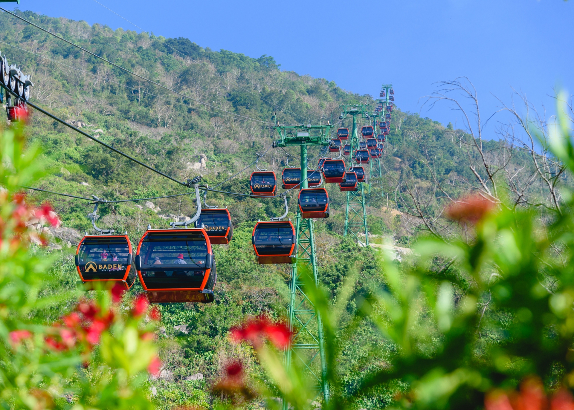 Núi Bà Tây Ninh: Nhiều khám phá mới trong Tết Nguyên đán khiến du khách trầm trồ