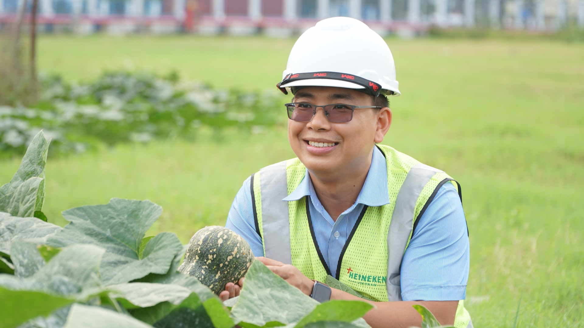 'Vườn rau công đoàn’ xanh mướt được chăm sóc bằng... bùn và nước thải