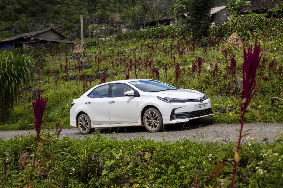 Xe của năm 2022: Phân khúc xe hạng C
