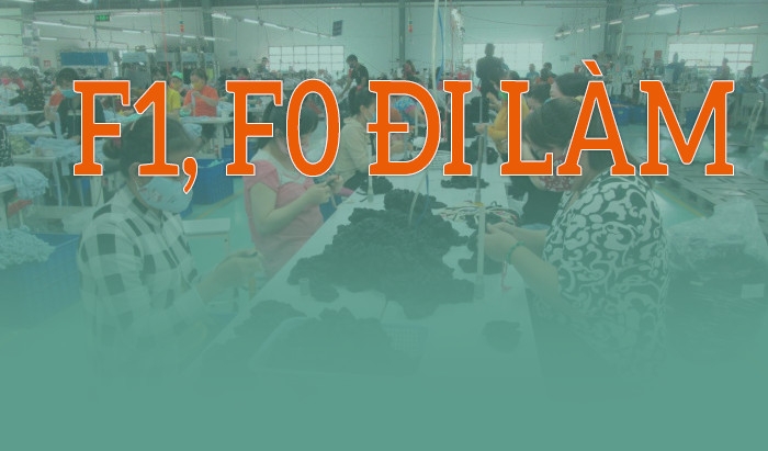Diễn đàn “Đề xuất F0, F1 có thể đi làm” Diễn đàn “Đề xuất F0, F1 có thể đi làm”
