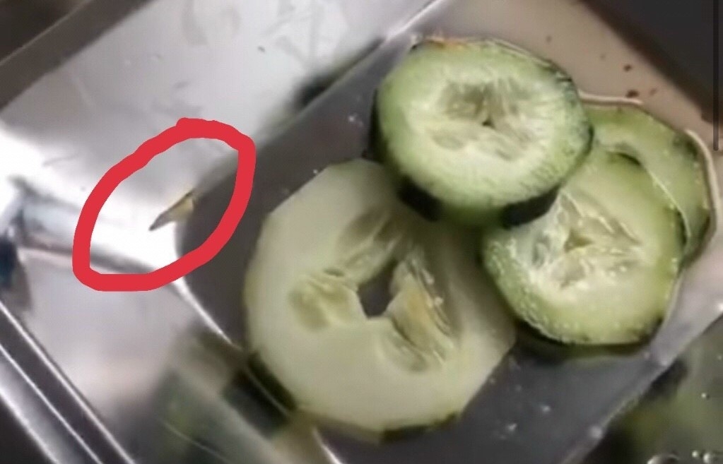 Dĩa cơm trưa của công nhân có giòi, Công đoàn Quảng Nam nói gì? Dĩa cơm trưa của công nhân có giòi, Công đoàn Quảng Nam nói gì?