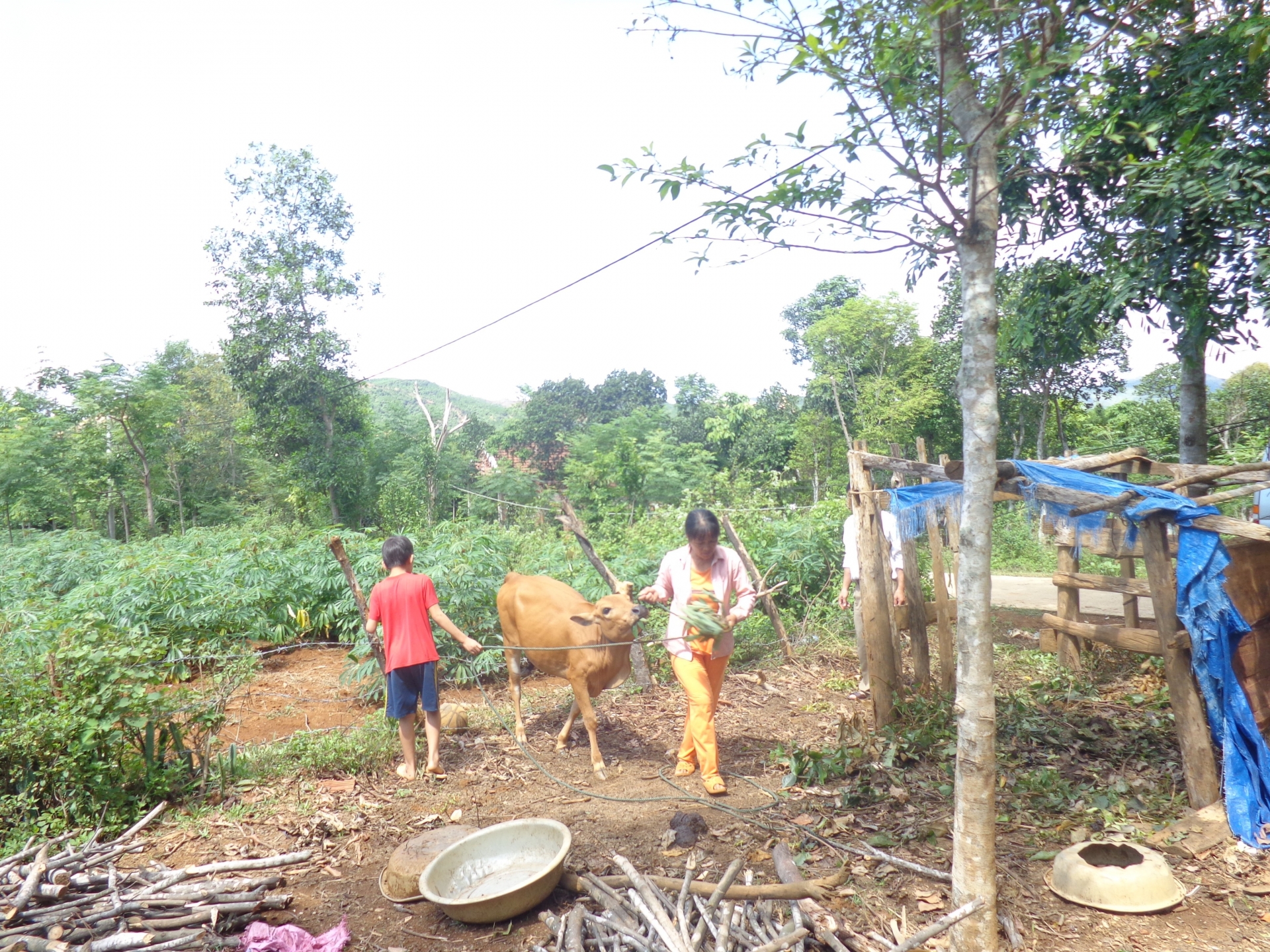 Từ tâm làm mẹ