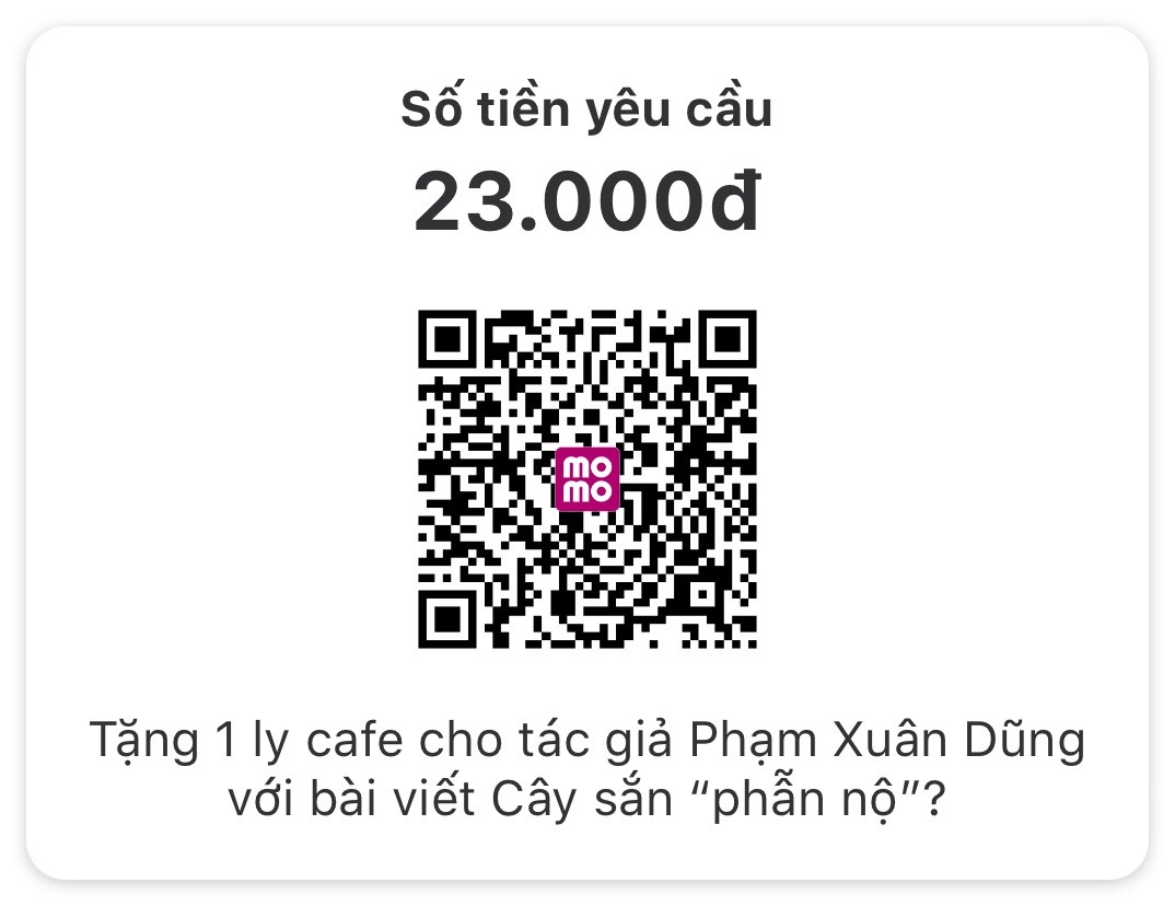 Cây sắn 