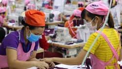 TP. HCM cho phép F1 được đi làm trực tiếp