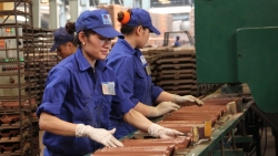 Một số vấn đề kiến nghị Thủ tướng Chính phủ