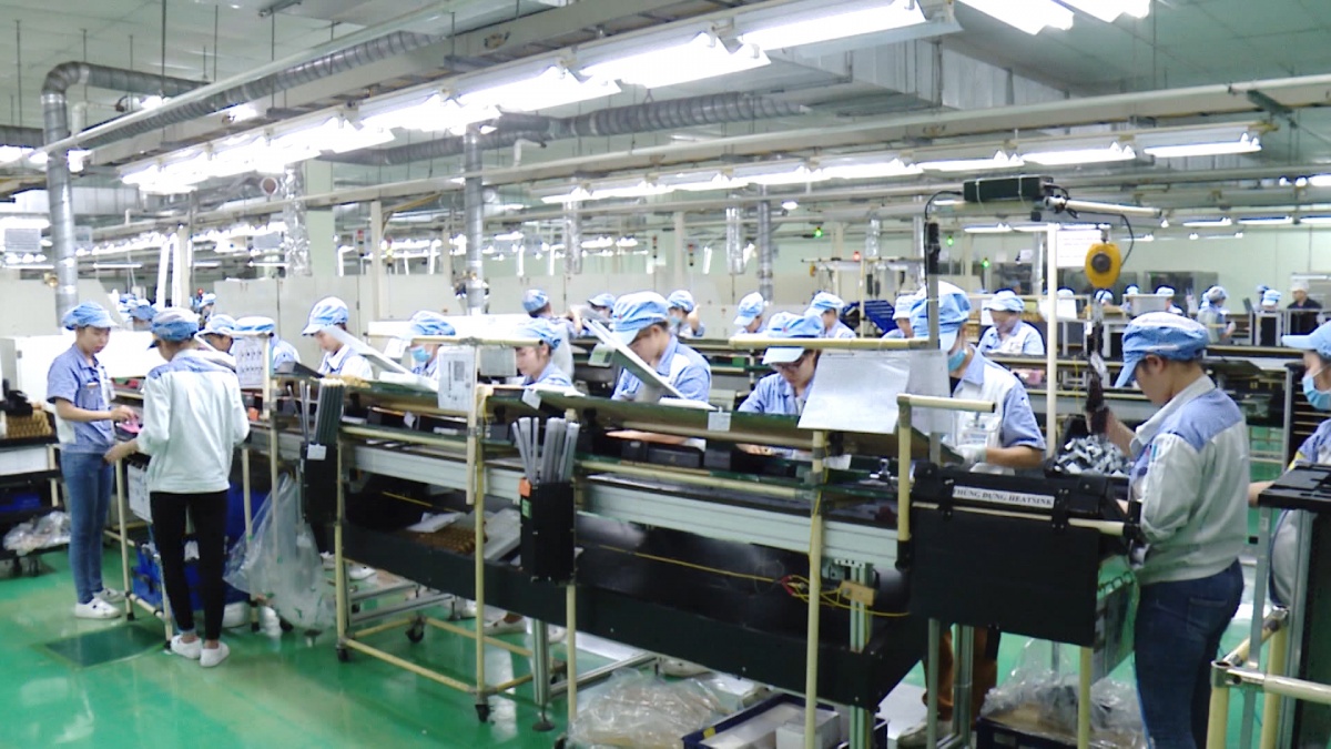 Doanh nghiệp phải tự chi trả quyền lợi cho người lao động nếu không đóng đủ bảo hiểm thất nghiệp