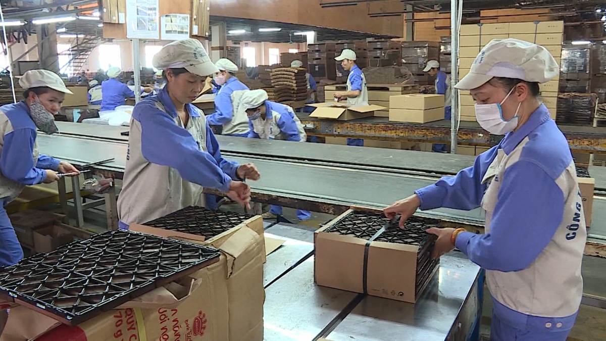 Các khoản tiền tính đóng bảo hiểm của người lao động trong doanh nghiệp